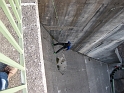 bild (27)
